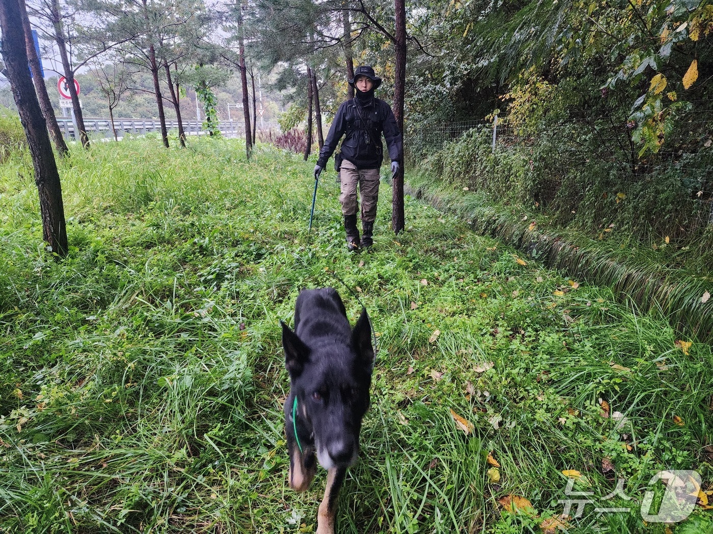 실종자 찾은 경찰 수색견 '콤마'.(강원경찰청 제공, 재판매 및 DB금지)