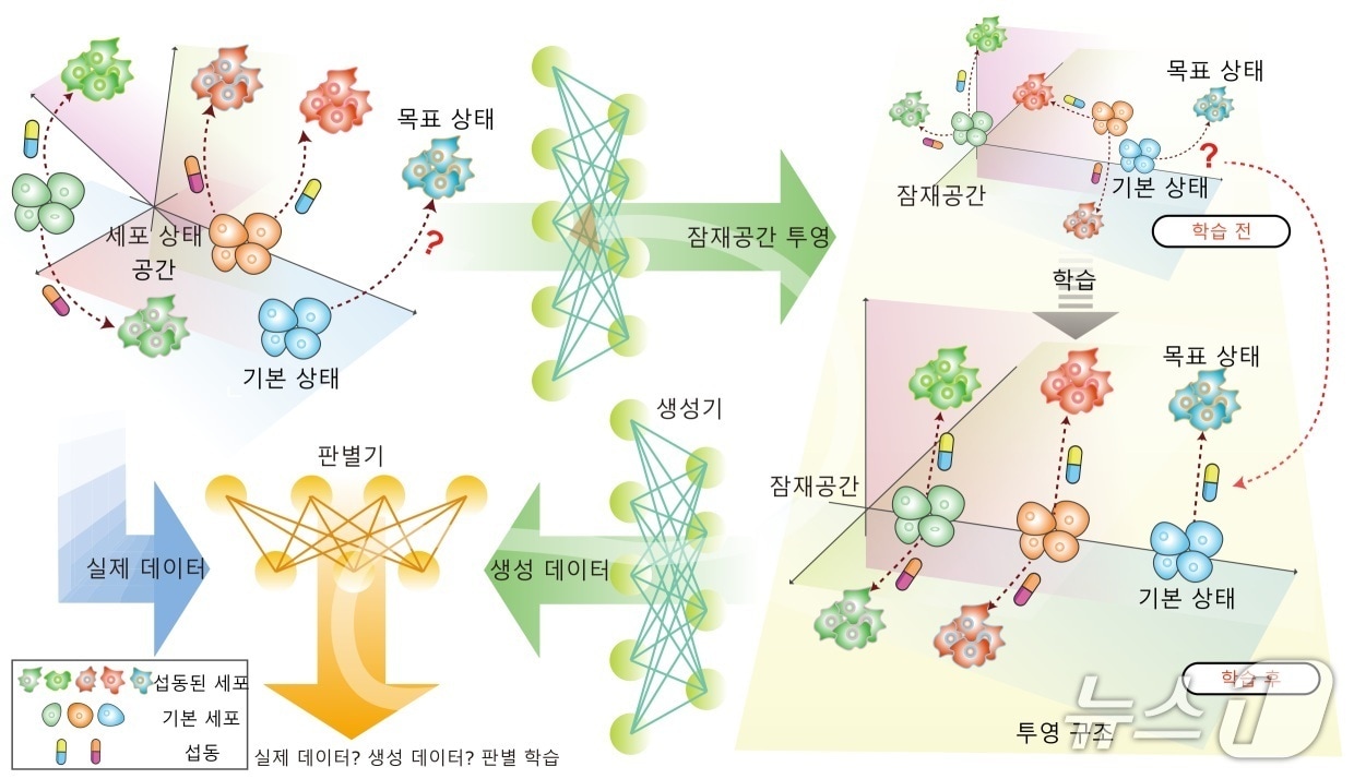 생성형 AI를 활용한 약물 등 예측 프레임워크 모식도(KAIST 제공) /뉴스1