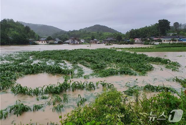 산청군 생초면 대포지구 침수 피해 장면(산청군 제공. 재판매 및 DB금지).