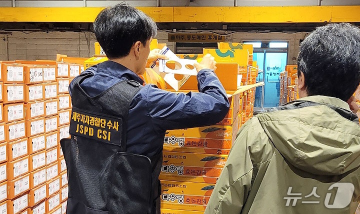 상품외감귤 단속 현장.(제주특별자치도 제공, 재판매 및 DB 금지)