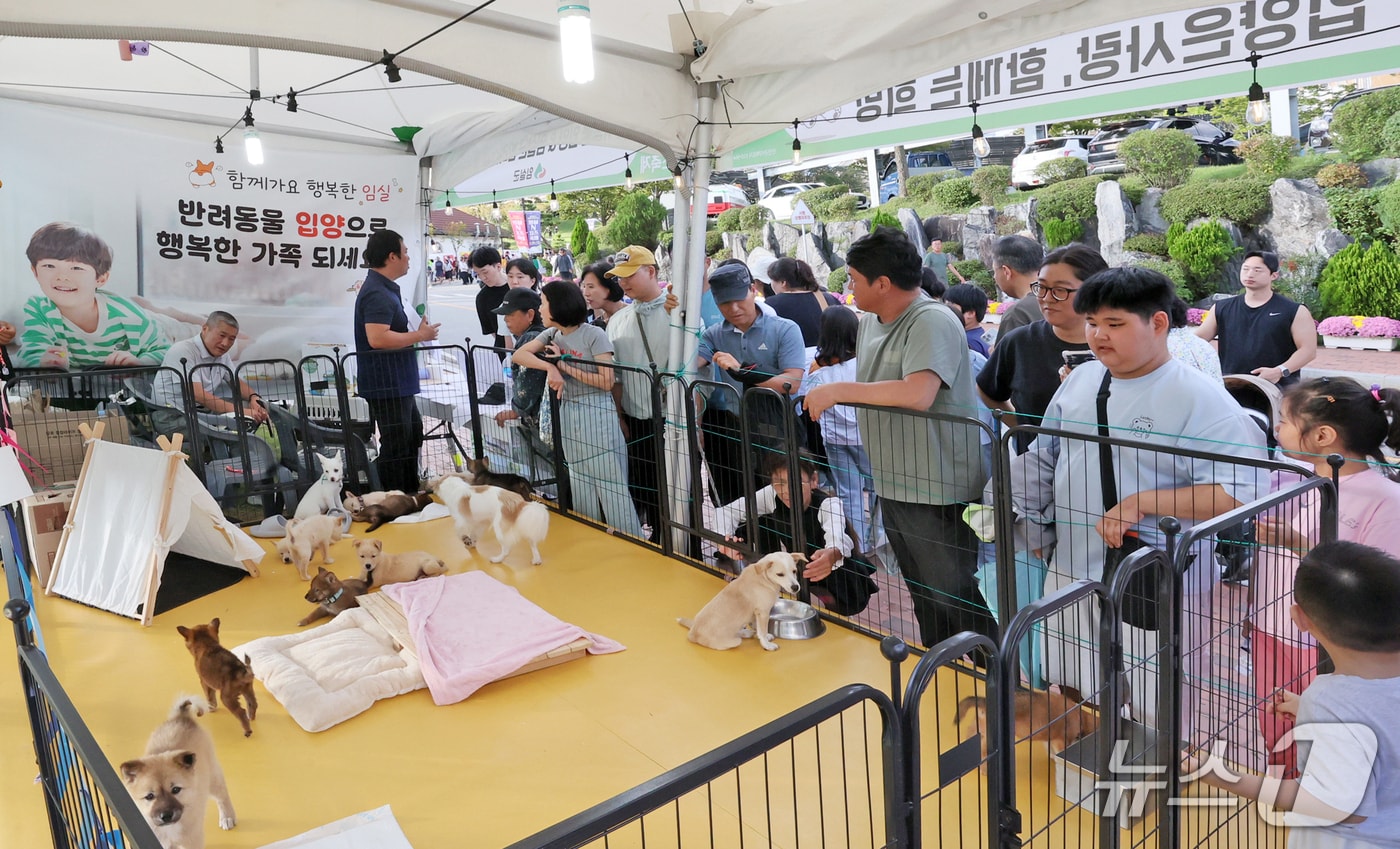 전북 임실군이 치즈축제 기간 운영한 '유기 동물 입양 및 반려 산업 홍보관'에서 유기견 21마리가 새 가족을 만났다.(임실군제공. 재판매 및 DB금지)2025.10.16/뉴스1