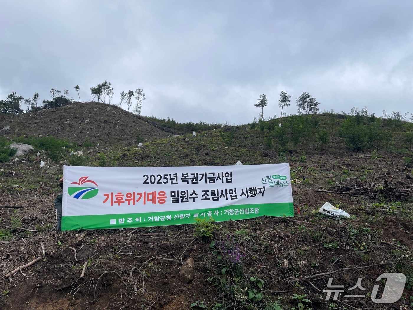 거창군 ‘밀원수 조림사업’ 시행 대상지(거창군 제공. 재판매 및 DB금지).