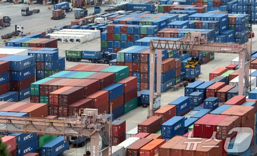 부산항 신선대부두 야적장. <자료사진> 2025.8.11/뉴스1 ⓒ News1 윤일지 기자