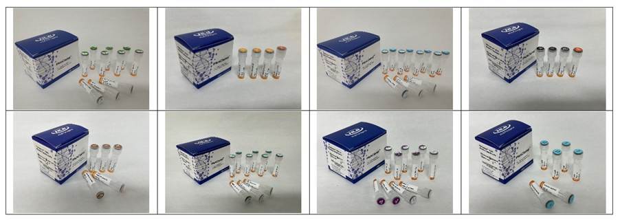  파키스탄 약물 규제 당국에 제품 등록을 완료한 HLB파나진의 암 진단 제품 8종. (HLB파나진 제공)
