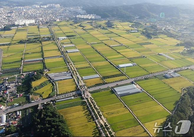  제천 의림지뜰. (제천시 제공. 재판매 및 DB금지)/뉴스1