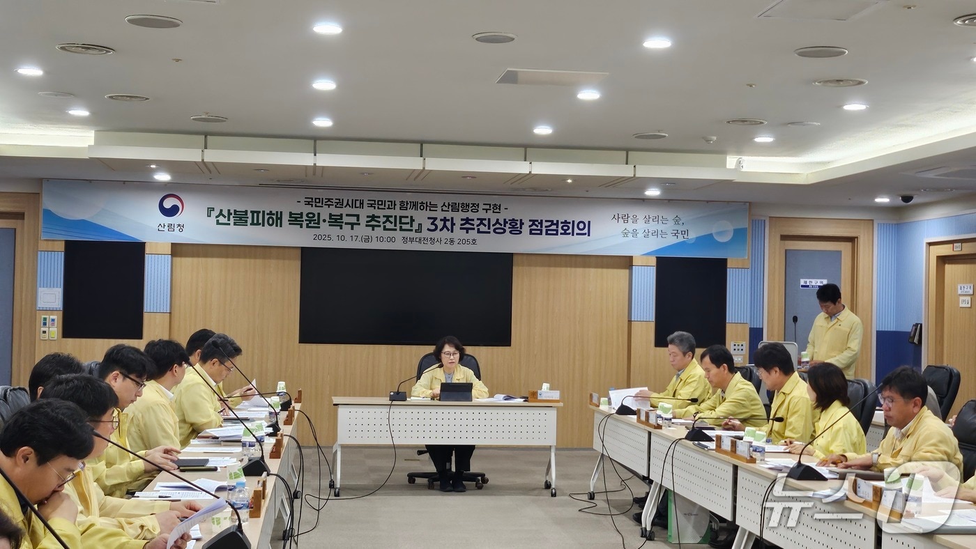 이미라 산림청 차장이 산불피해 복원·복구 추진단 3차 추진상황 점검 회의를 주재하고 있다.(산림청 제공. 재판매 및 DB금지)/뉴스1