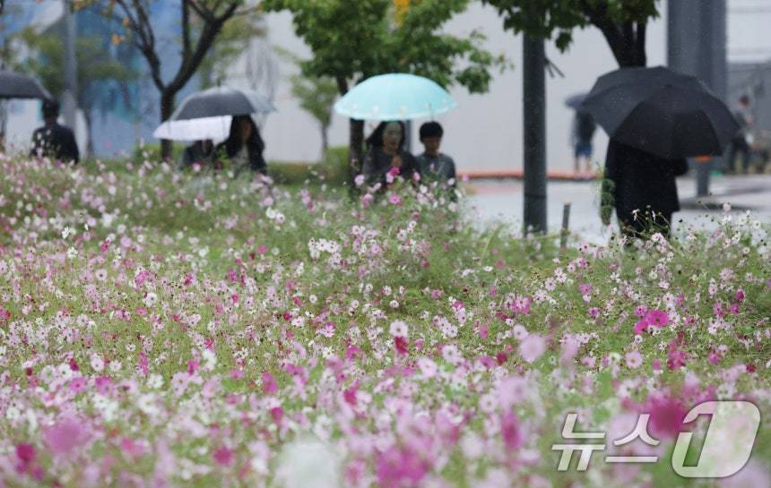 수도권 곳곳에 가을비가 내린 10일 경기 수원시 영통구 경기도청 인근에서 시민들이 우산을 쓰고 지나가고 있다. 2025.10.10/뉴스1 ⓒ News1 김영운 기자