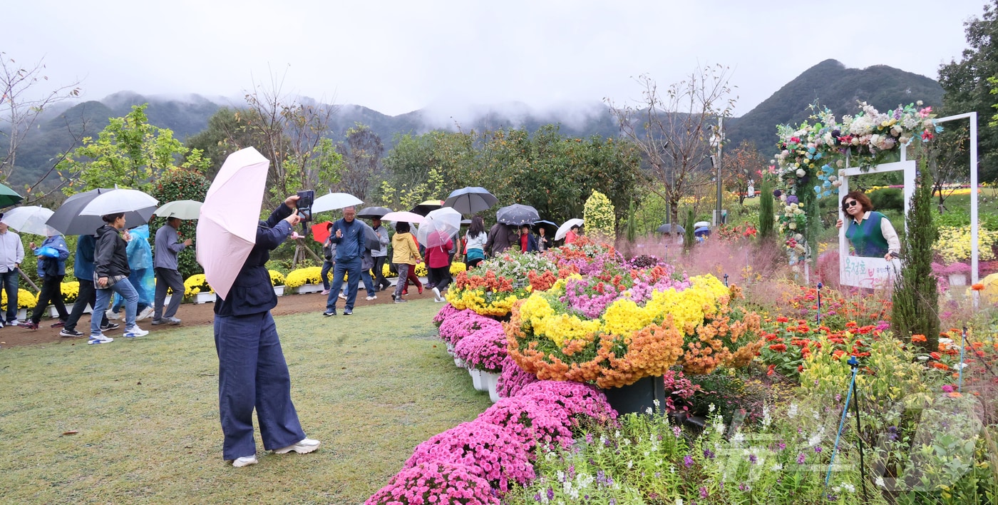 비가 내린 18일 전북 임실군 옥정호를 찾은 관광객들이 가을의 정취를 느끼고 있다. .(임실군제공. 재판매 및 DB금지)2025.10.18/뉴스1 ⓒ News1 김동규 기자
