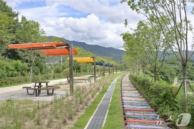 강원 원주시의 치악산 바람길숲 일부 구간 자료 사진. &#40;재판매 및 DB금지&#41;/뉴스1