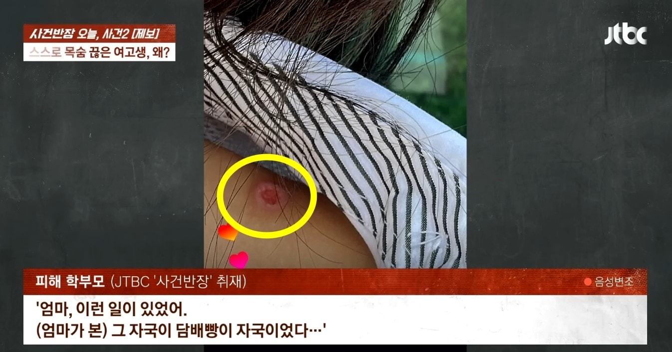 A 양 몸에 남아 있는 담배빵 자국. (JTBC '사건반장')