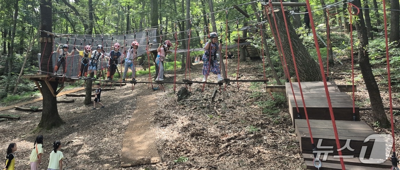 경산 우리들 숲학교에서 숲체험 교육에 참가한 유치원생들.(우리들 숲 학교 제공. 재판매 및 DB금지)/뉴스1
