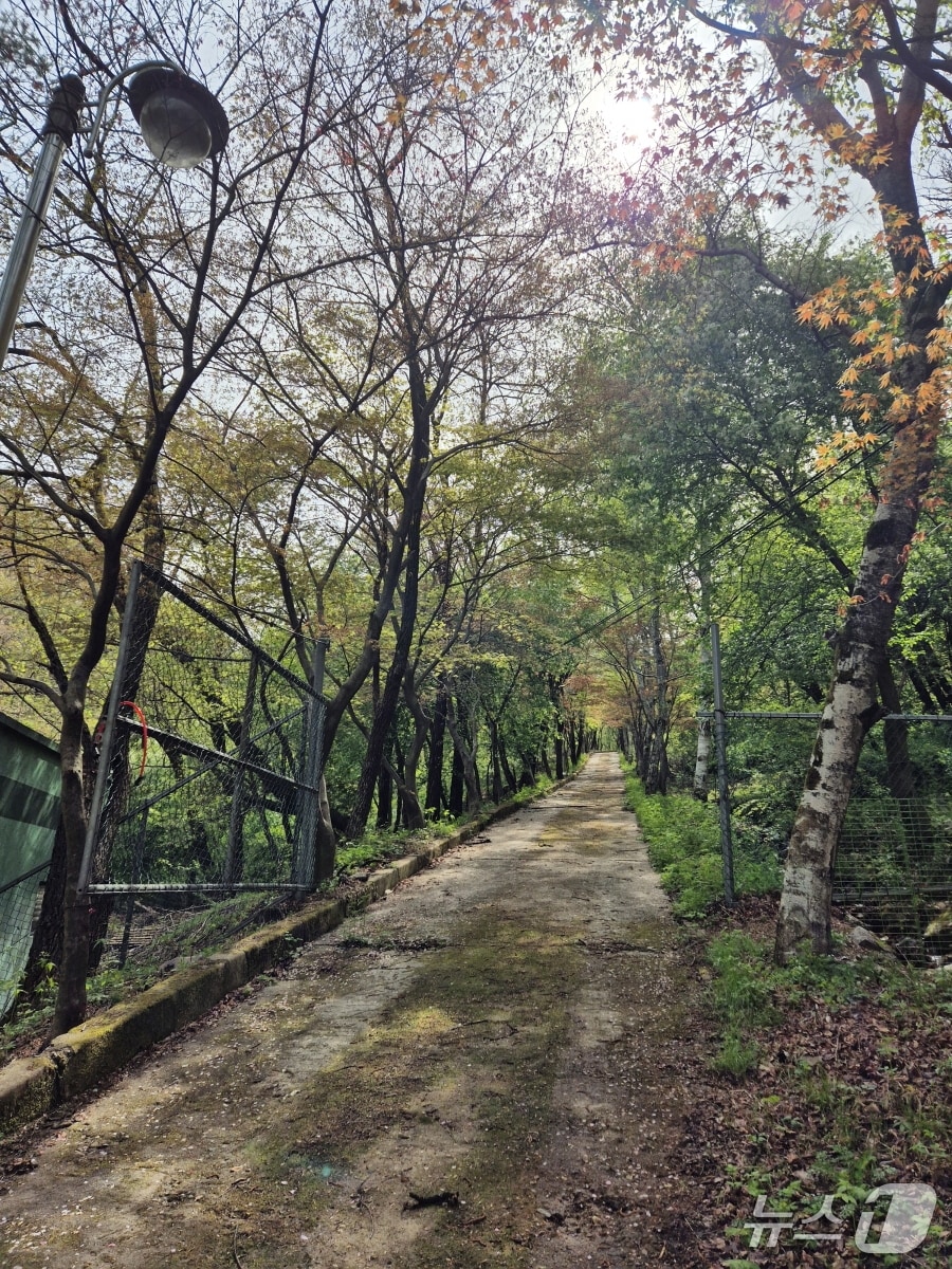동두천 소요산 관광지 내 '소요 숲 힐링공간 사업' 예정지. (동두천시 제공, 재판매 및 DB금지)