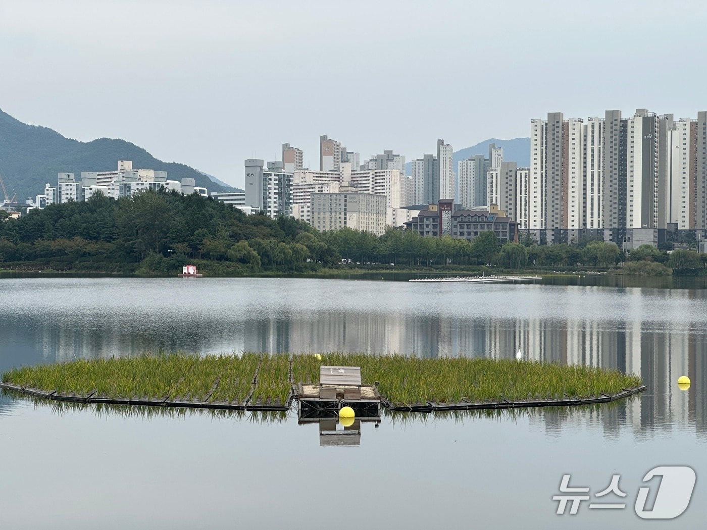 충주 호암지 풍경./뉴스1