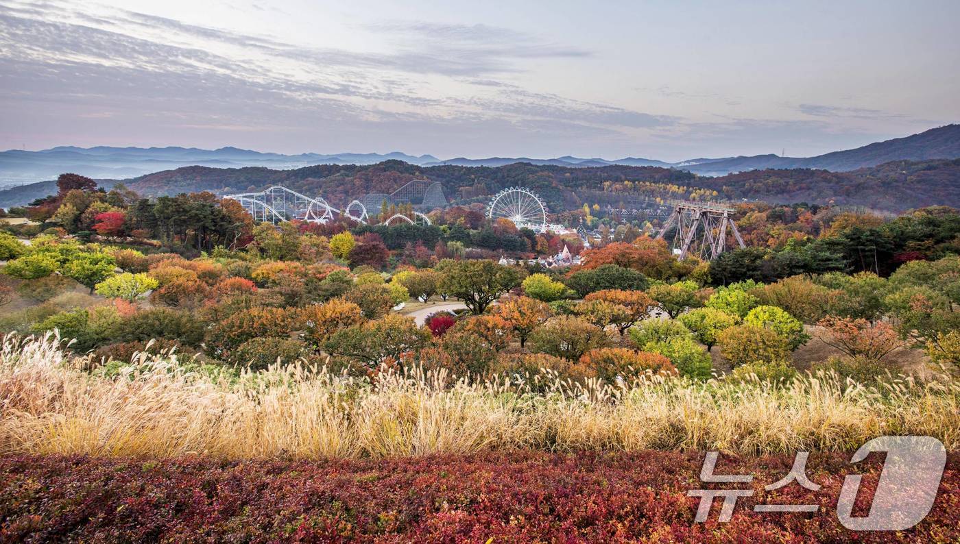 가을 단풍 물든 에버랜드(삼성물산 제공. 재판매 및 DB 금지) 2025.10.20/뉴스1
