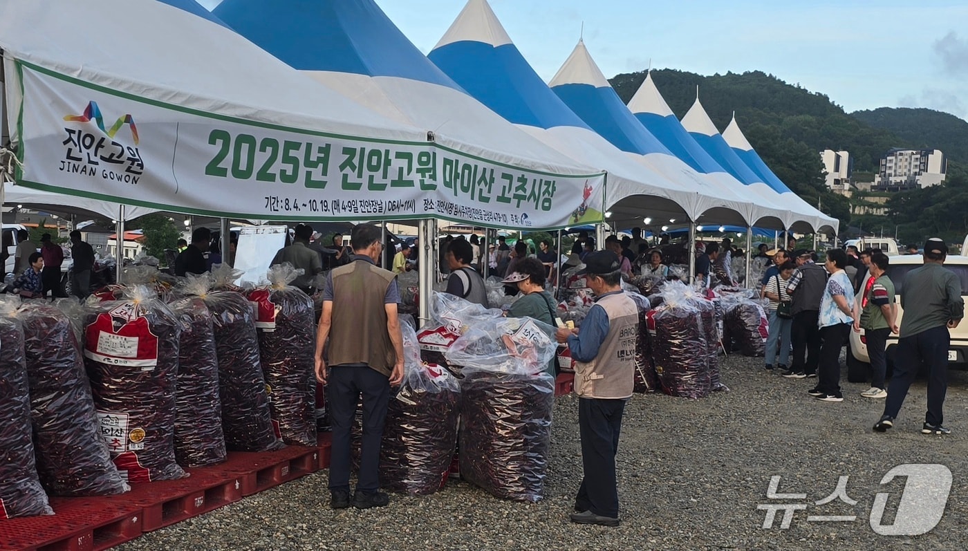 '2025 진안고원 마이산 고추시장'이 총 15회 열려 약 88톤(14만7000근)을 거래됐다.(진안군제공, 재판매 및 DB금지)2025.10.20/뉴스1
