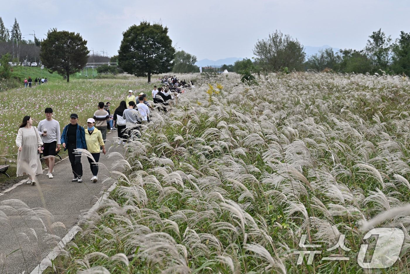 지난 19일 광주 서구 영산강변에서 열린 &#39;제10회 광주서창억새축제&#39;에서 시민들이 여유를 만끽하고 있다.&#40;광주 서구 제공. 재판매 및 DB금지&#41; 2025.10.20/뉴스1 