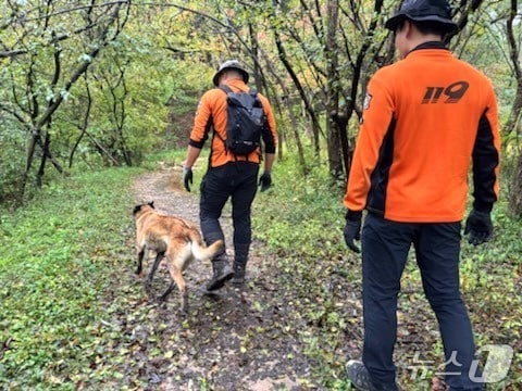 소방 관계자들이 지난 13일 충북 영동군 양산면 천태산에서 실종된 80대 노인을 수색하고 있다. &#40;영동소방서 제공. 재판매 및 DB금지&#41; /뉴스1