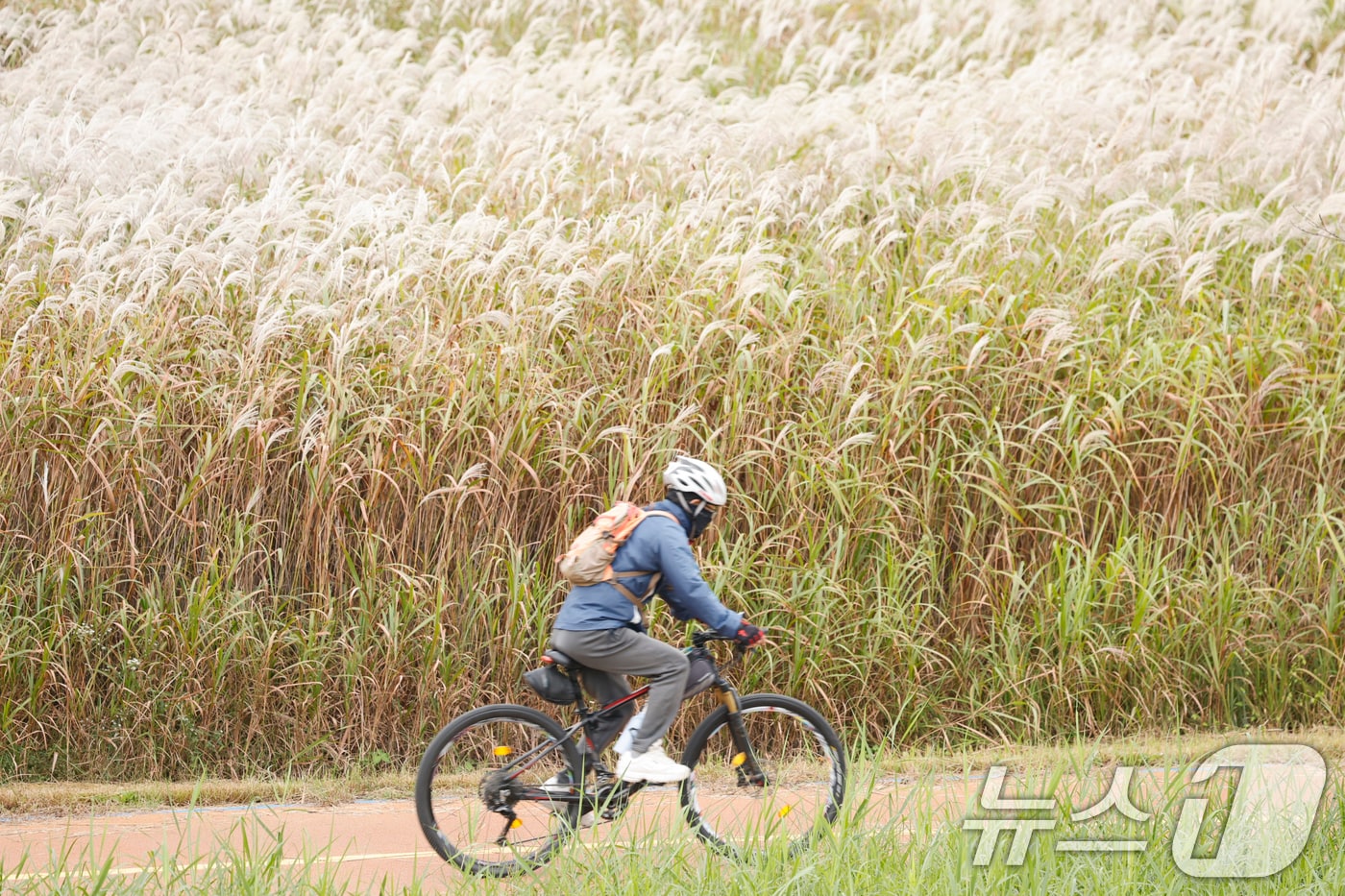21일 아침저녁으로 쌀쌀한 날씨가 이어지는 가운데 광주 서구 서창 영산강 자전거길에 시민들이 자전거를 타고 있다. 2025.10.21/뉴스1 ⓒ News1 김태성 기자