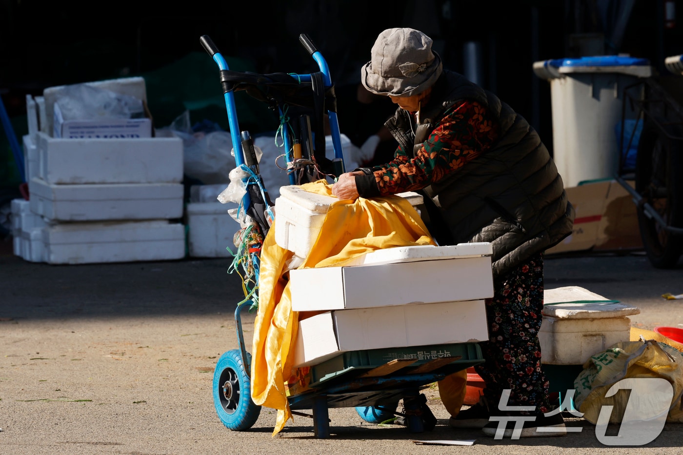 <자료사진> 2025.10.21/뉴스1 ⓒ News1 김태성 기자