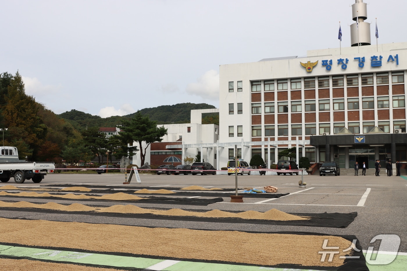 강원 평창경찰서 주차장 농산물 건조장으로 개방.(평창경찰서 제공, 재판매 및 DB금지)