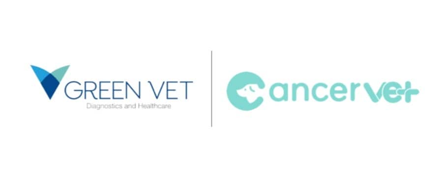 소량 혈액으로 암 조기 발견...반려견 위한 AI 검사 '캔서벳' 출시 - 뉴스 썸네일 이미지
