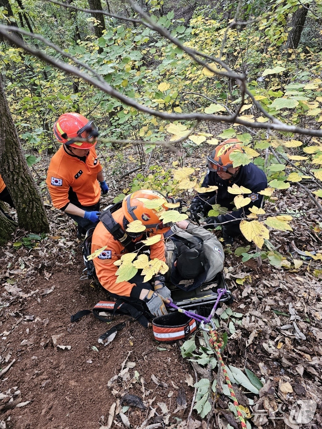 지난 22일 단양 패러글라이딩 야산 추락 현장 (단양소방서 제공. 재판매 및 DB금지)/뉴스1