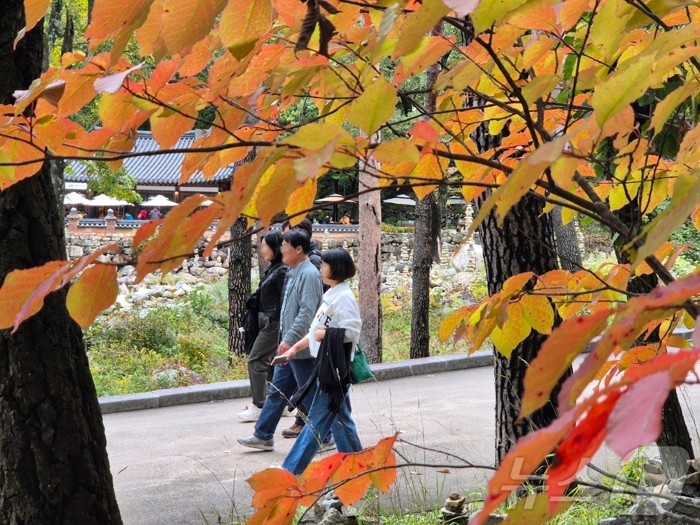 <자료사진> (사진은 기사 내용과 무관함) 2025.10.23/뉴스1 ⓒ News1 자료 사진