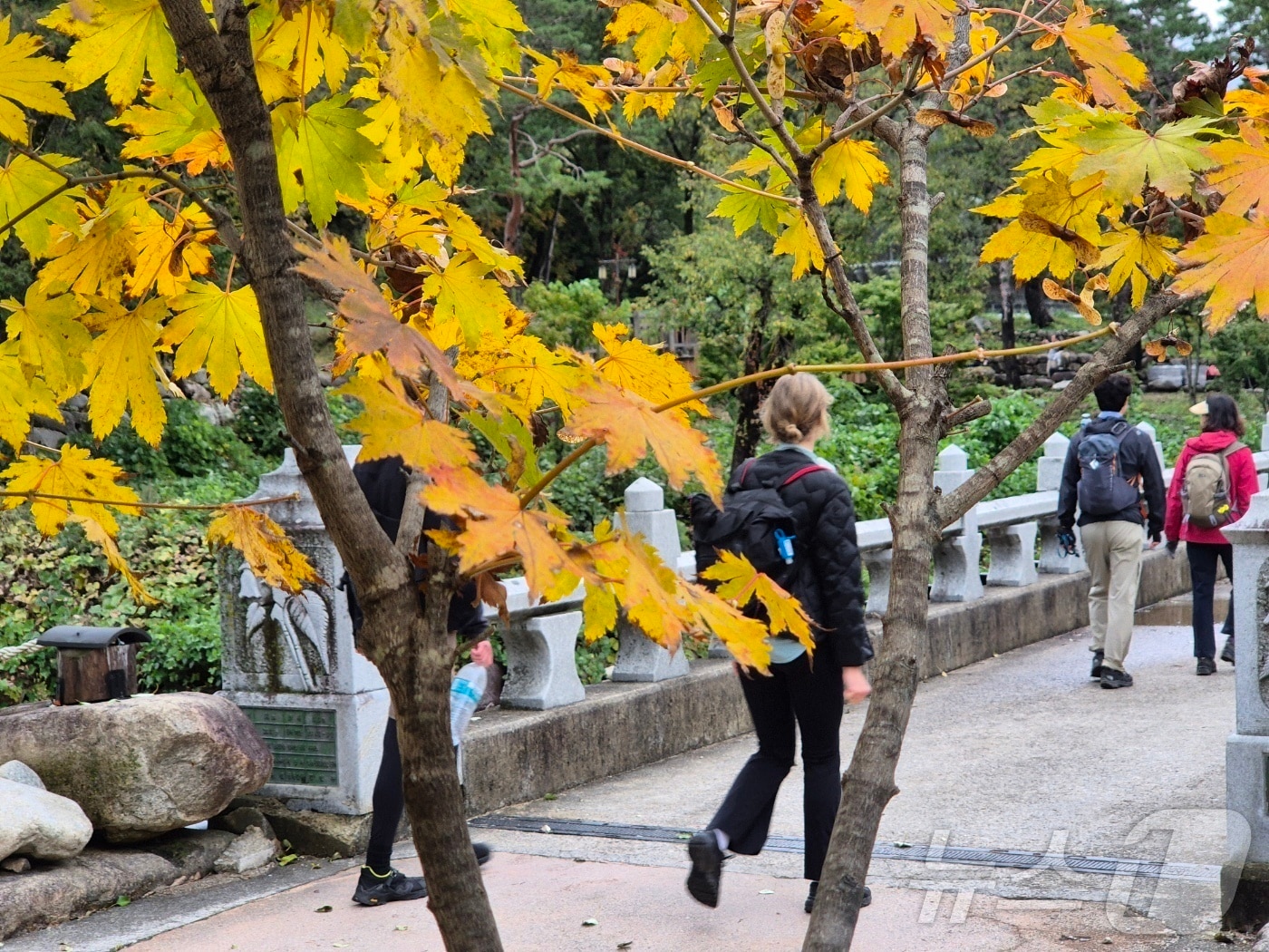 지난 23일 설악산 탐방객들&#40;뉴스1 DB&#41; ⓒ News1 윤왕근 기자