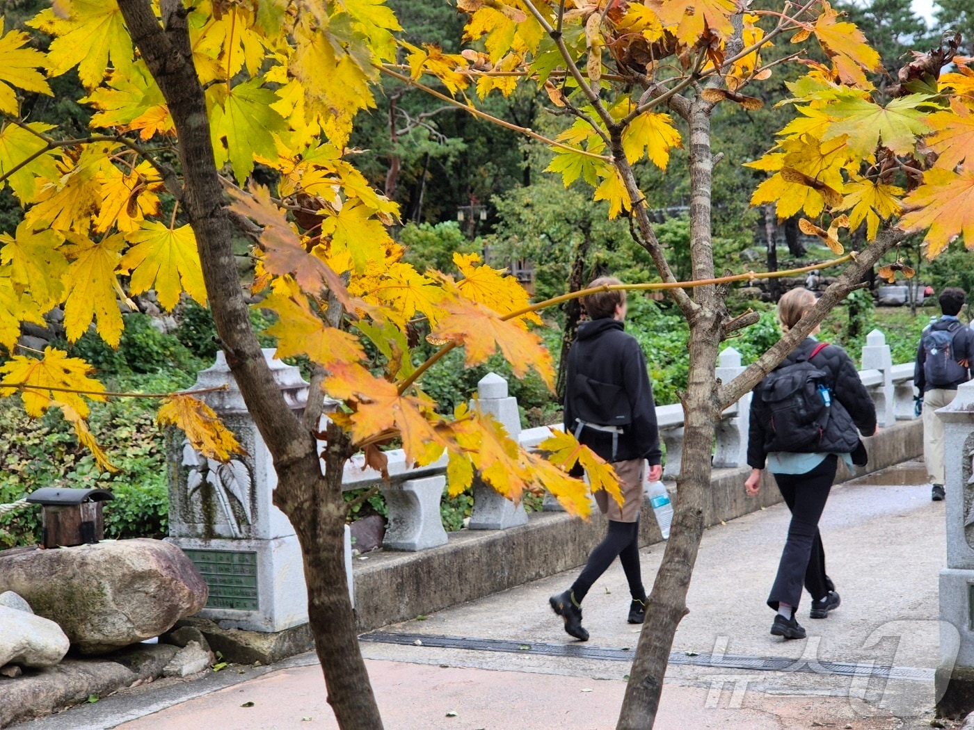 23일 강원 속초시 설악산국립공원 일대에서 절정을 맞은 설악산 단풍을 즐기기 위해 탐방객들이 형형색색 가을빛으로 물든 산자락을 배경으로 산행을 즐기고 있다. 2025.10.23/뉴스1 ⓒ News1 윤왕근 기자