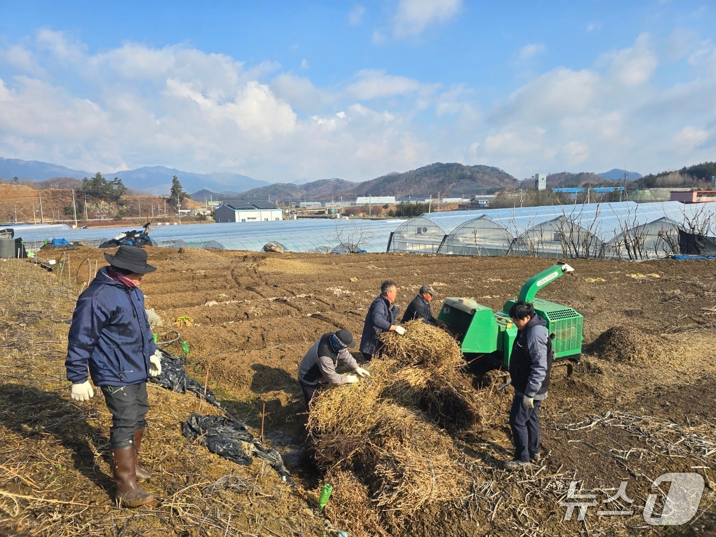 전북 진안군이 영농부산물을 처리하기 위해 '찾아가는 파쇄지원 사업'을 실시한다.(진안군제공. 재판매 및 DB금지)2025.10.23/뉴스1