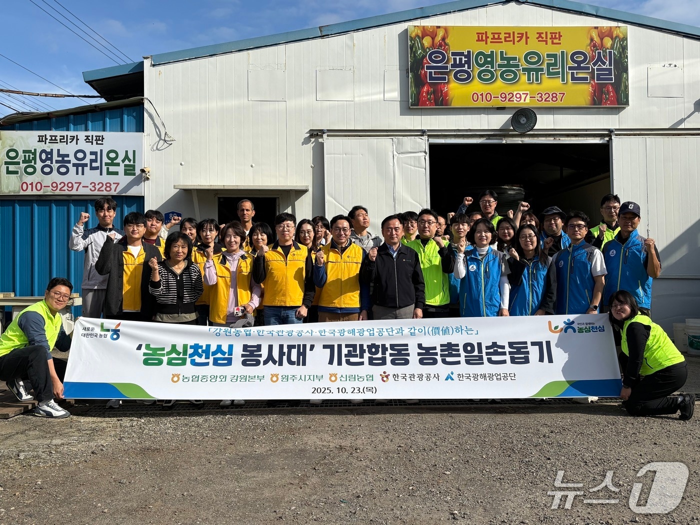 원주 파프리카 농가 기관 합동 농촌 일손 돕기.(농협 강원본부 제공. 재판매 및 DB금지)/뉴스1