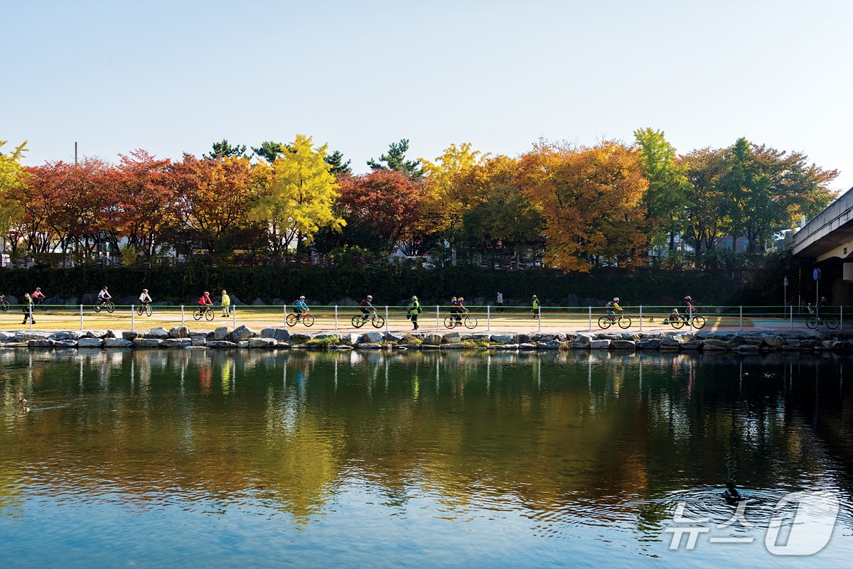 대구시는 26일 자전거타기 운동연합 본부와 함께 가을철 정취를 느낄 수 있는 '자전거 타기 좋은 코스' 7선을 선정했다고 밝혔다. (대구시 제공. 재판매 및 DB 금지)/뉴스1
