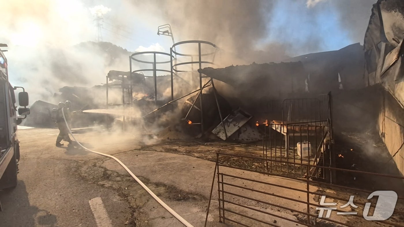 공주 이인면 돈사 화재 현장. (공주소방서 제공, 재판매 및 DB금지) / 뉴스1