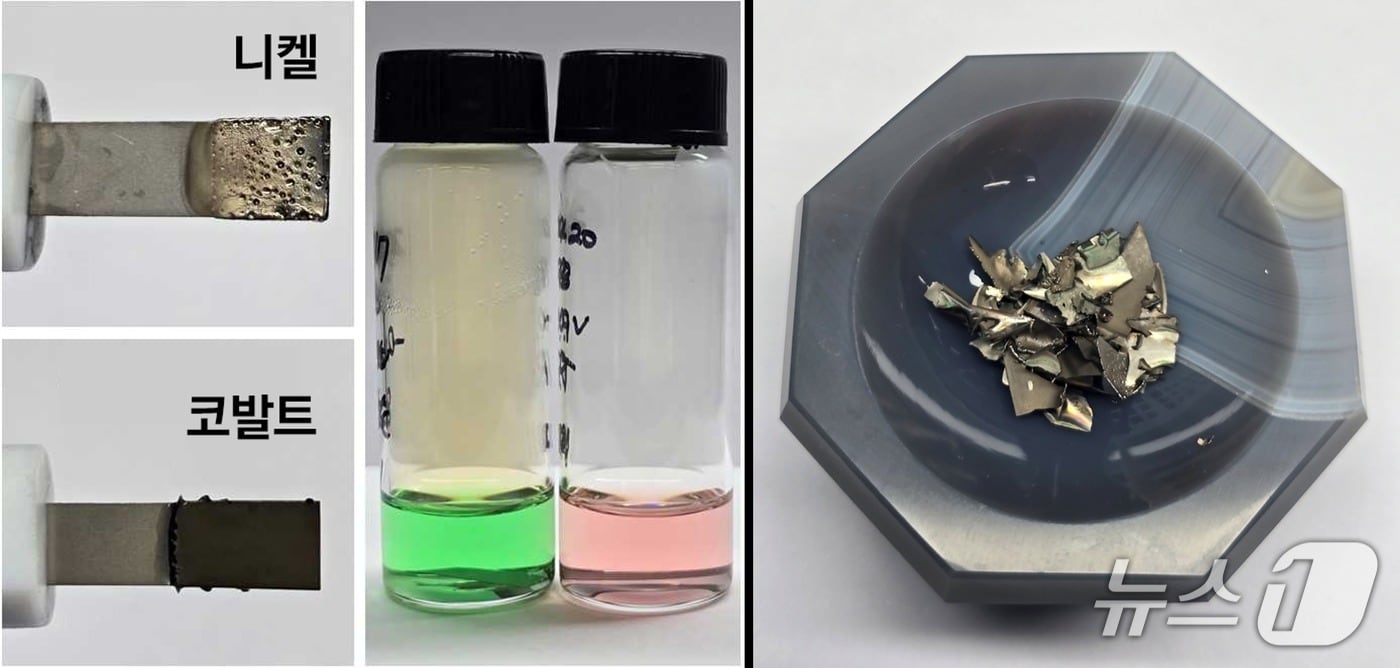 개발된 공정을 통해 추출된 니켈과 코발트(UNIST 제공. 재판매 및 DB금지)/뉴스1