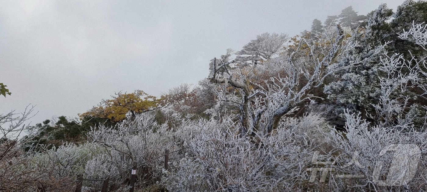 28일 덕유산 향적봉(1614m), 대피소 등 주능선에 상고대가 생성됐다.(덕유산사무소 제공. 재판매 및 DB금지)2025.10.28/뉴스1