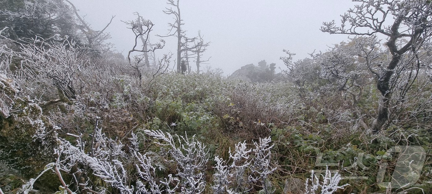 28일 전북 무주군 덕유산 설천봉의 기온이 영하 5.3도까지 떨어지고 향적봉(1614m), 대피소 등 주능선에 상고대가 생성됐다.(덕유산사무소 제공. 재판매 및 DB금지)2025.10.28/뉴스1 ⓒ News1 김동규 기자