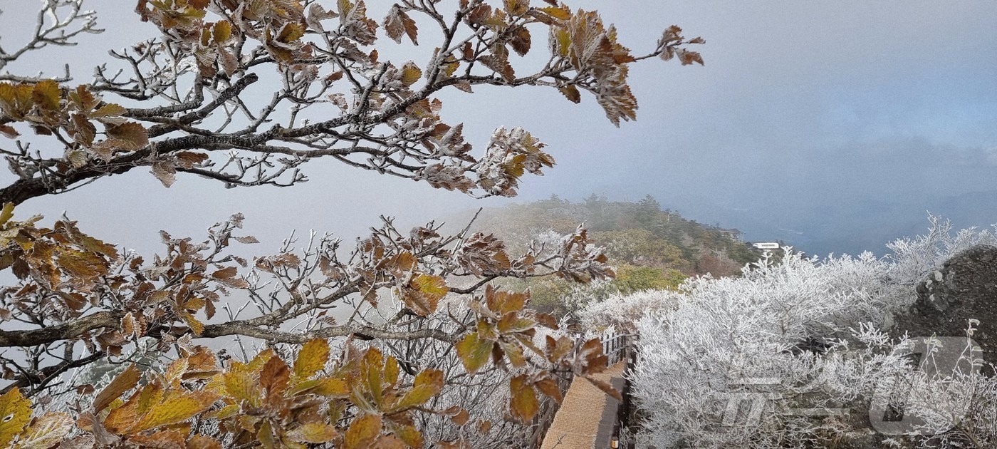 지난달 28일 아침 06시 40분 전북 무주군 덕유산 설천봉의 모습.  덕유산사무소 제공. 재판매 및 DB금지)2025.10.28/뉴스1 ⓒ News1 김동규 기자