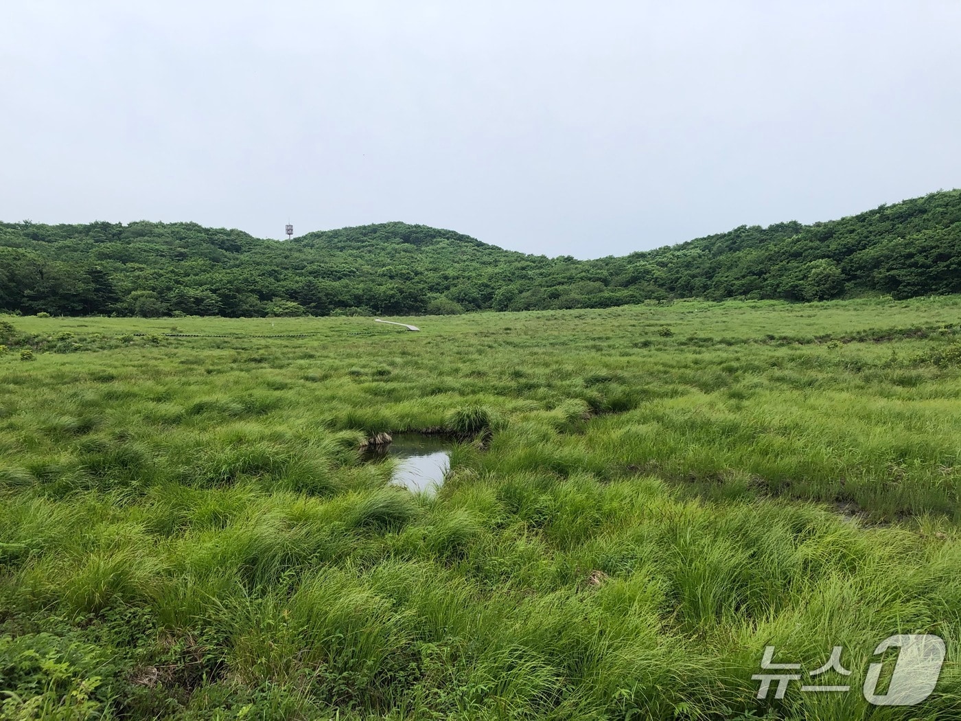 강원 인제군 대암산 용늪 산림유전자원보호구역 자료 사진. (북부지방산림청 제공. 재판매 및 DB금지) 2025.10.28/뉴스1
