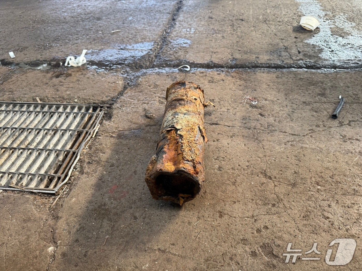 29일 부산 중구 남항 공동어시장에서 발견된 불발탄.(부산해경 제공. 재판매 및 DB금지)