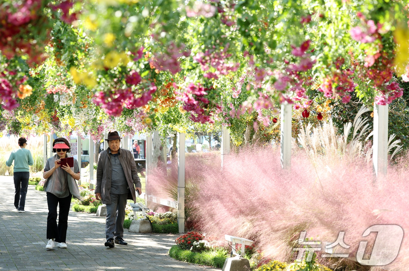 2025 대한민국 국향대전이 열리고 있는 29일 전남 함평군 함평엑스포 공원에서 시민들이 국화 정취를 즐기고 있다. 2025.10.29/뉴스1 ⓒ News1 이승현 기자