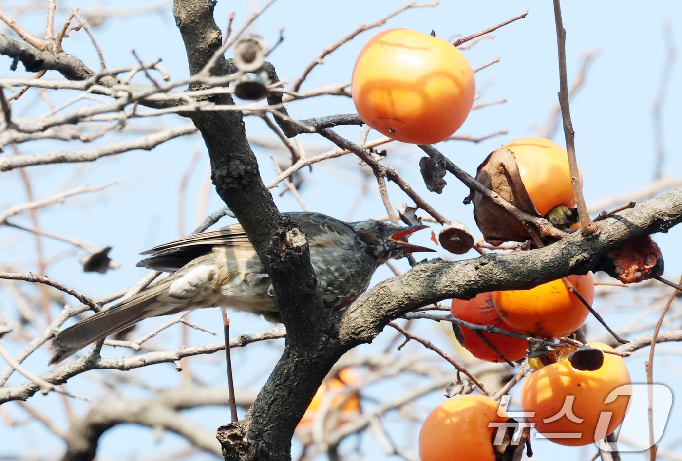 자료사진/뉴스1 ⓒ News1