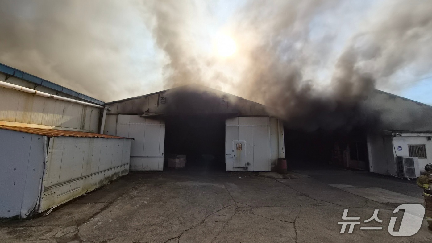 29일 오후 2시 38분쯤 전남 나주시 남평읍의 한 버스 바닥재 합판 제조공장에서 불이 나 소방당국이 진화하고 있다.(전남 나주소방 제공. 재판매 및 DB 금지)