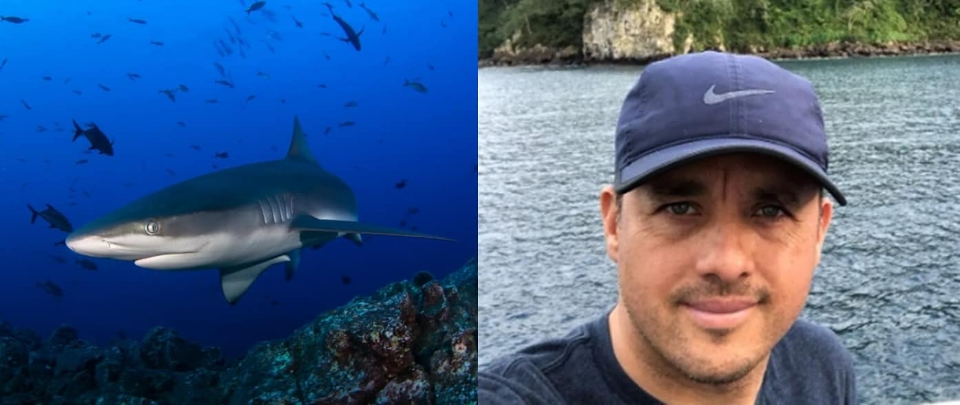 (갈라파고스 상어와 오요스 박사. 뉴욕타임스)