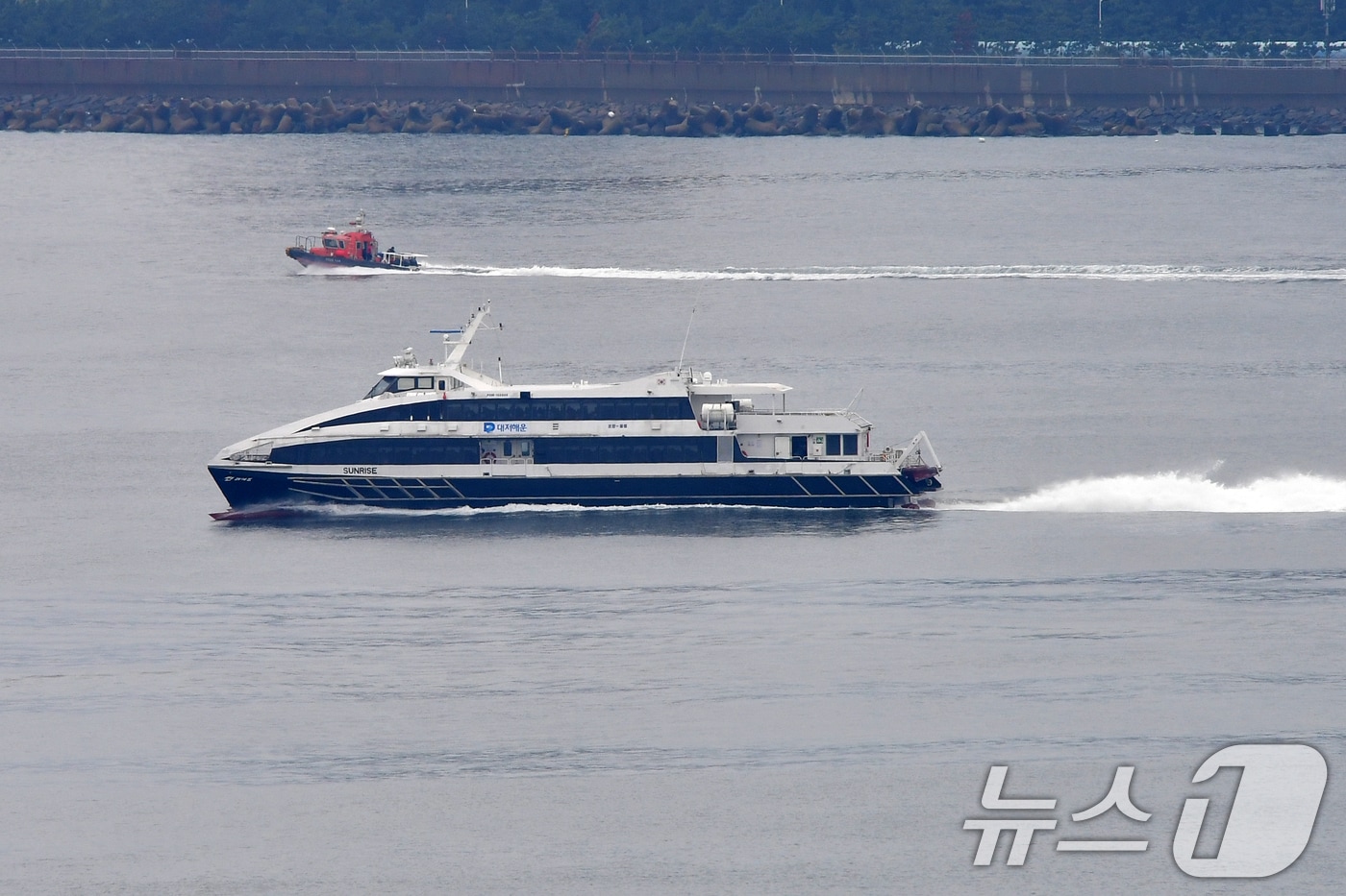 추석 연휴 첫 날인 3일 경북 포항여객선터미널에서 출항한 포항~울릉 정기여객선인 대재페리(주) 썬라이즈호가 울릉도로 항해하고 있다. (사진은 기사 내용과 무관함) 2025.10.3/뉴스1 ⓒ News1 최창호 기자