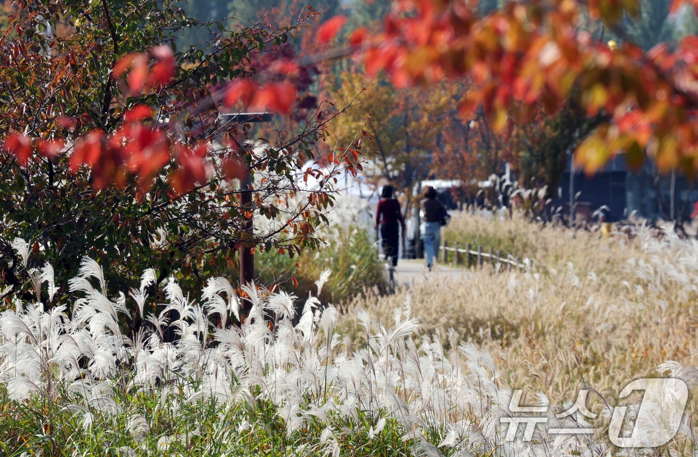 자료사진/뉴스1 ⓒ News1 