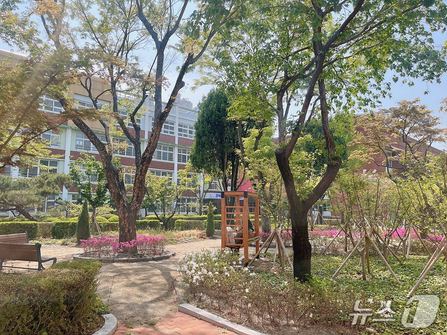 산림청이 선정한 올해 '학교숲 조성' 분야에서 경북여고가 최우수상을 받았다. 경북여고에 조성된 학교숲. (대구시 제공. 재판매 및 DB 금지)/뉴스1