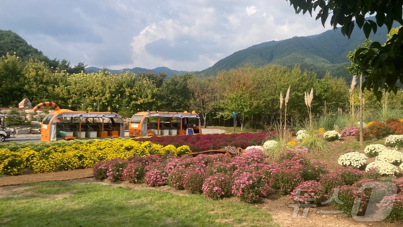 경북도 봉화군의 대표 가을 축제인 ‘2025 백두대간 봉자페스티벌’이 12일까지 국립백두대간수목원에서 열린다(봉화군 제공. 재판매 및 DB금지) /뉴스1