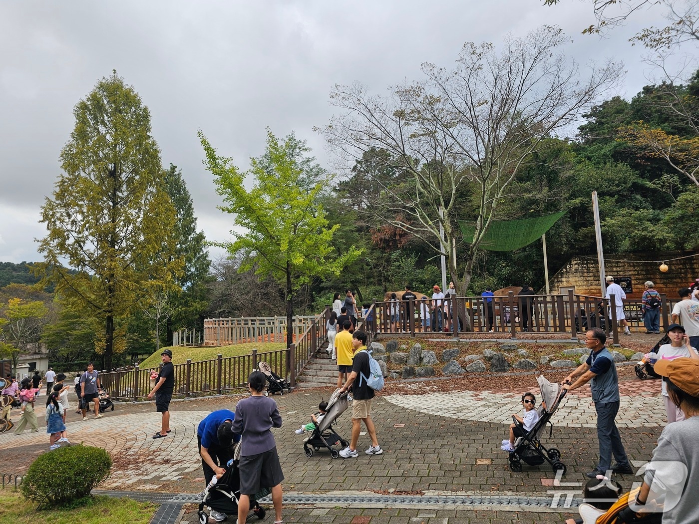 추석 연휴인 5일 광주 북구 우치동물원에서 나들이객들이 동물원 인기스타인 '모녀 코끼리'를 구경하고 있다. 2025.10.5/뉴스1 최성국 기자