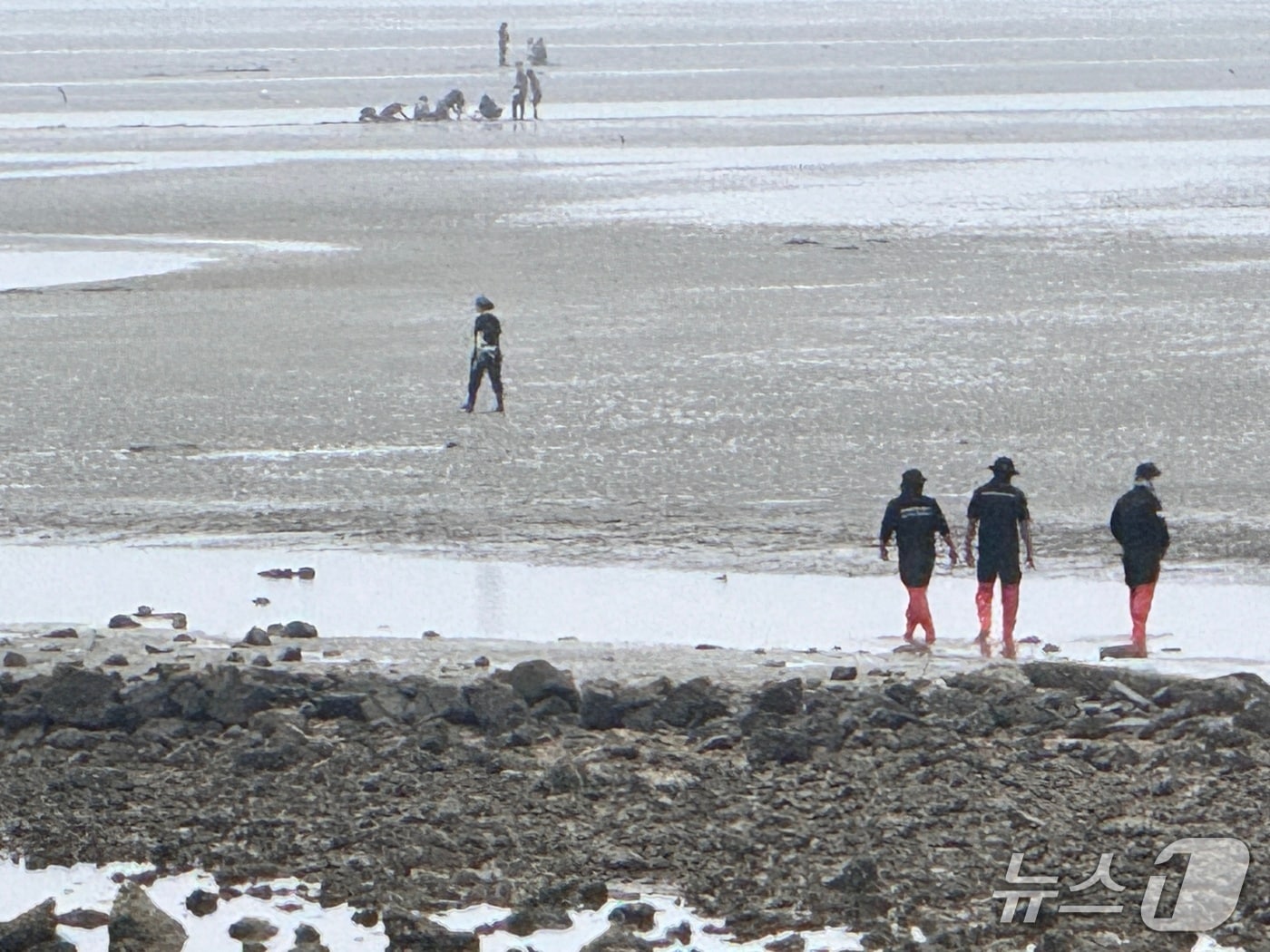 5일 태안 남면 진산리 갯벌에서 해경이 해루질 중 숨진 70대 여성을 발견한 뒤 인양하고 있는 모습. (태안해경 제공, 재판매 및 DB금지) / 뉴스1 
