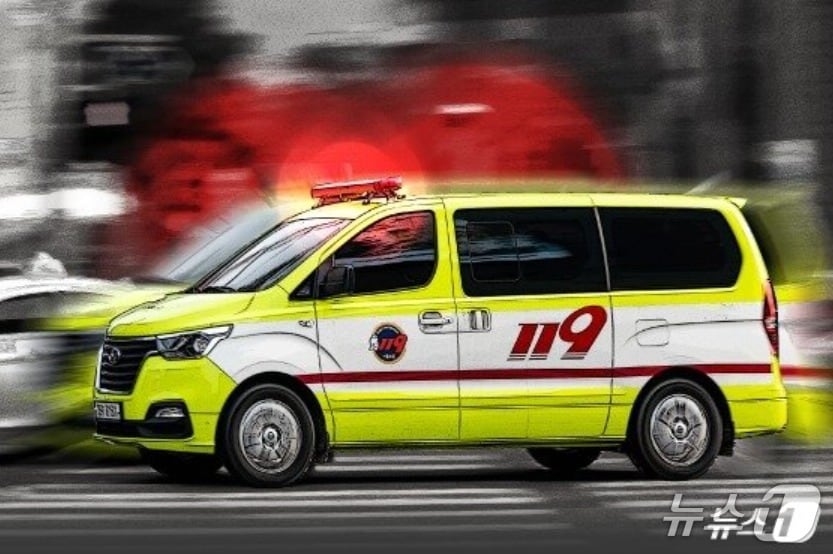 ⓒ News1 김지영 디자이너